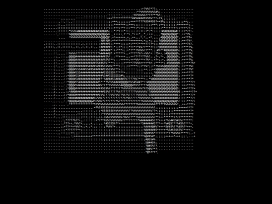 macnetindex screenshot