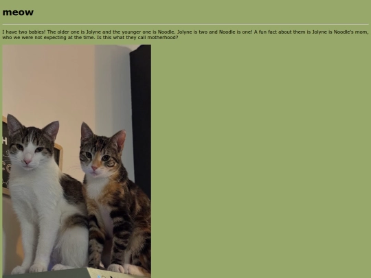 mycats screenshot