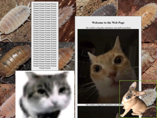 test2 screenshot