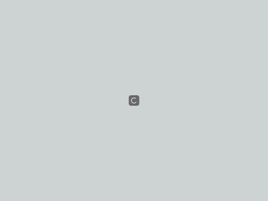 IP screenshot