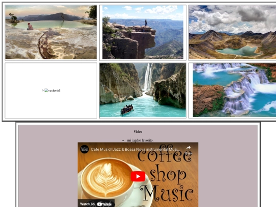 animales felinos/lugares screenshot