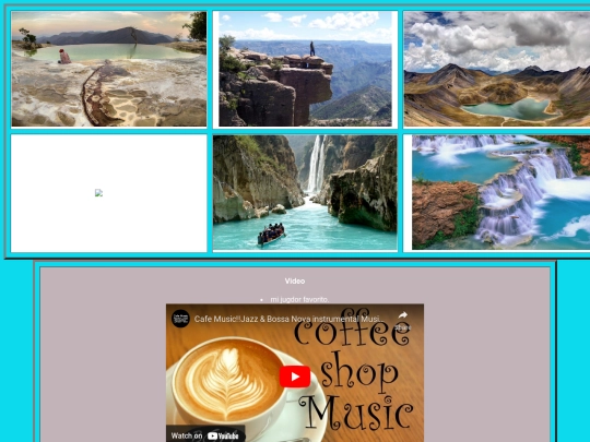 animales felinos/lugares1 screenshot