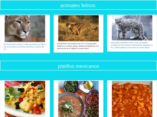 animales felinos/sala1 screenshot
