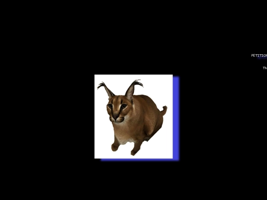 floppapetition screenshot
