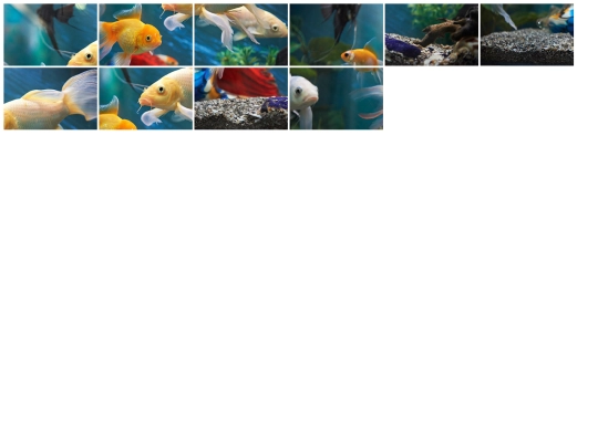 puzzel/awdkmnaiuodygb screenshot