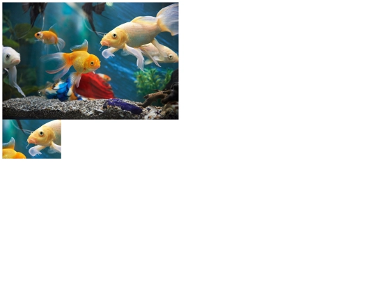 puzzel/puzzel screenshot