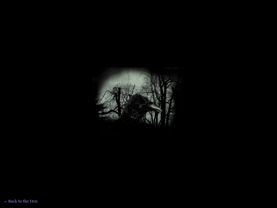 crow-of-rumors screenshot