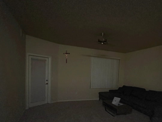 camera/living_room screenshot
