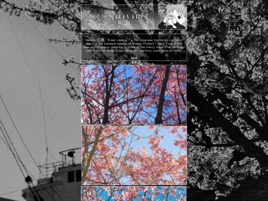 photo/hanami screenshot