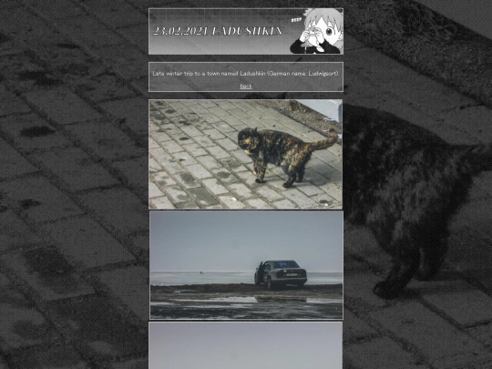 photo/ladushkin screenshot