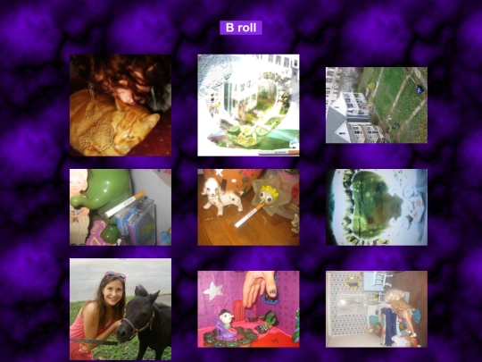 page/flh/broll screenshot