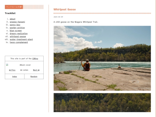 whirlpool-goose screenshot