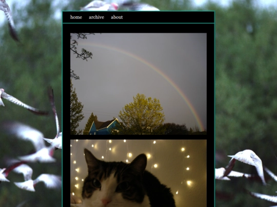 blog/posts/2025-04-11-test-post-ignore screenshot