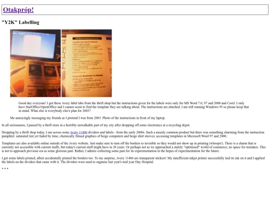 blog/y2k-labelling screenshot