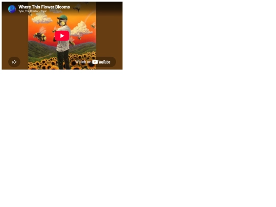 vid screenshot
