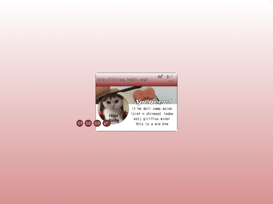 tumblr-code screenshot