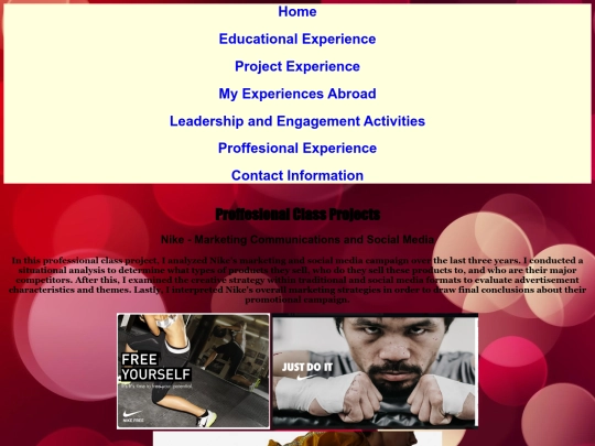 ProjectExperience screenshot