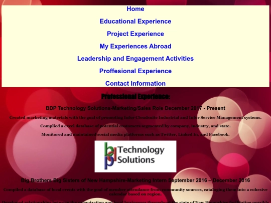 WorkExperience screenshot