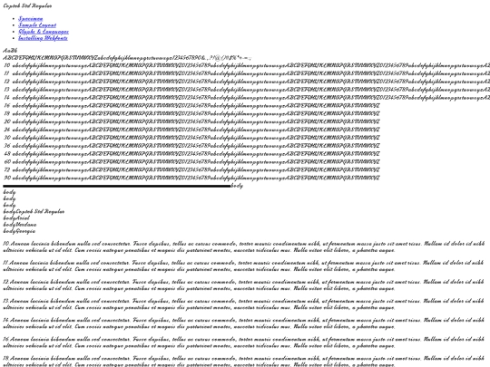 webfontkit-20230304-031539/coptek_std_regular-demo screenshot