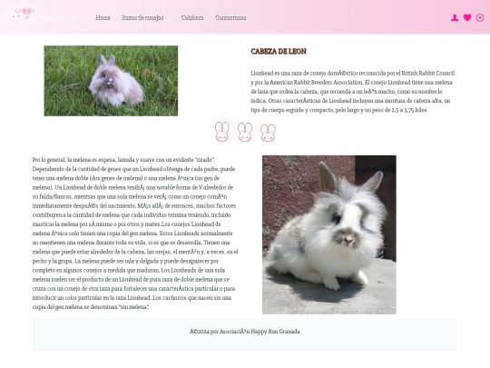 cabezaleon screenshot