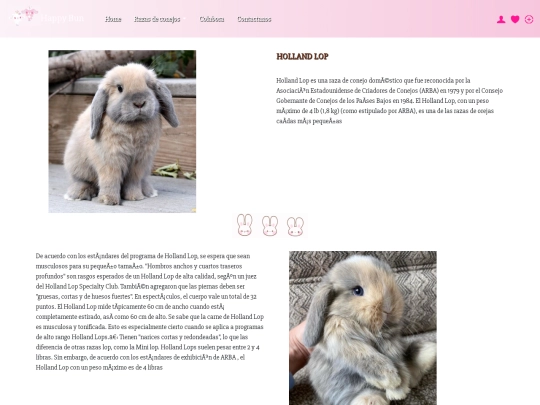 hollandlop screenshot