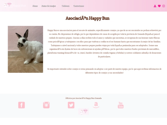 pagweb screenshot
