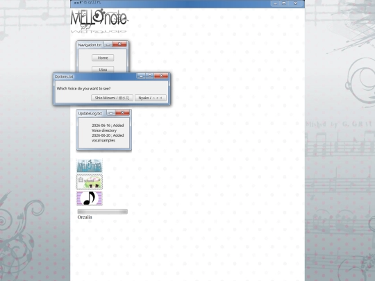 options screenshot