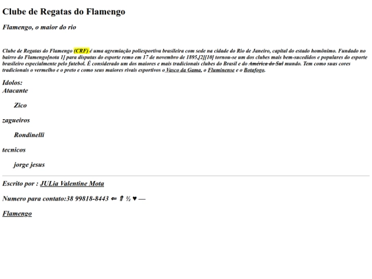 revisao screenshot