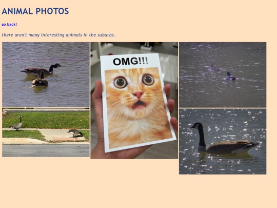 stuff/animals screenshot