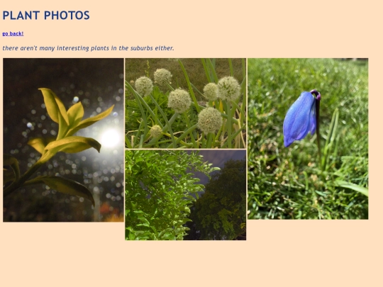 stuff/plants screenshot