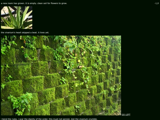vivarium/world/-1/0 screenshot