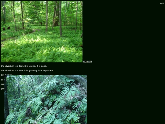 vivarium/world/0/0 screenshot