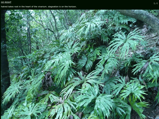 vivarium/world/1/-1 screenshot