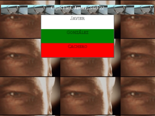 ejer 8/Javier-Ejer 8 screenshot