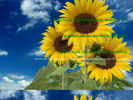 Prácticas screenshot