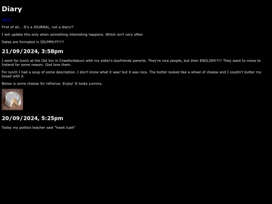 diary screenshot
