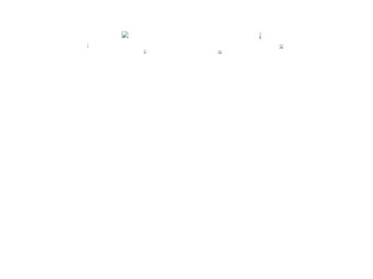 test screenshot