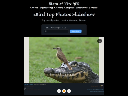 birdslide screenshot