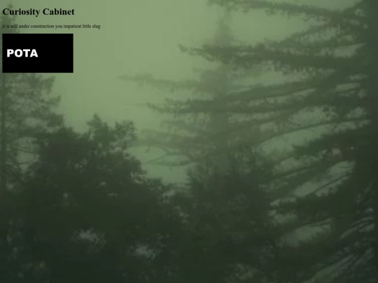 studiolo screenshot