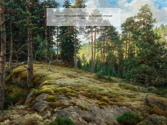 Pines screenshot