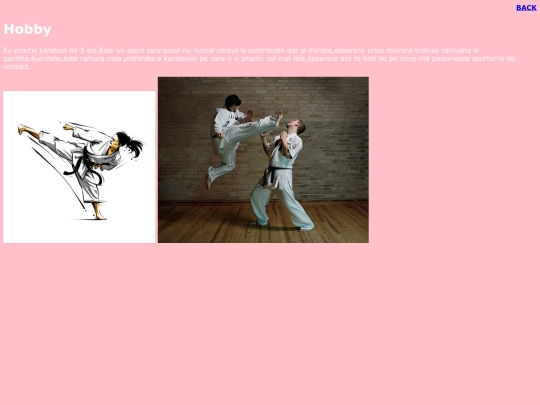 hobby screenshot