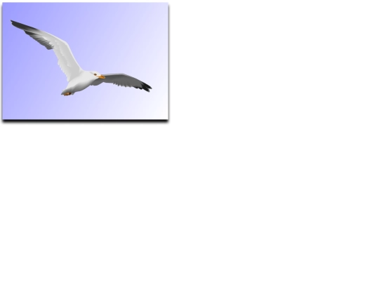 Imitations/gradient_seagull screenshot