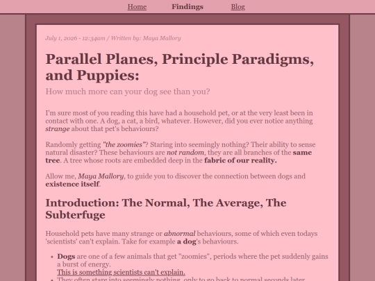 findings screenshot