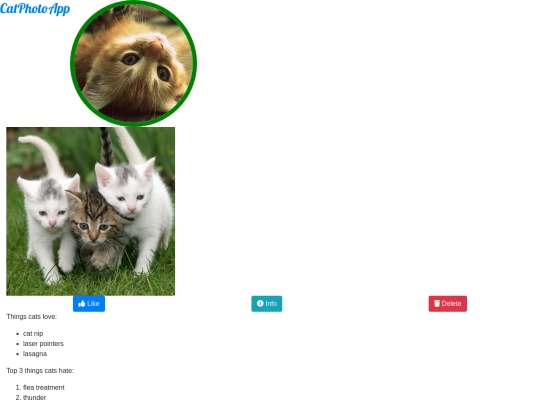 bootstrap/gatitos screenshot