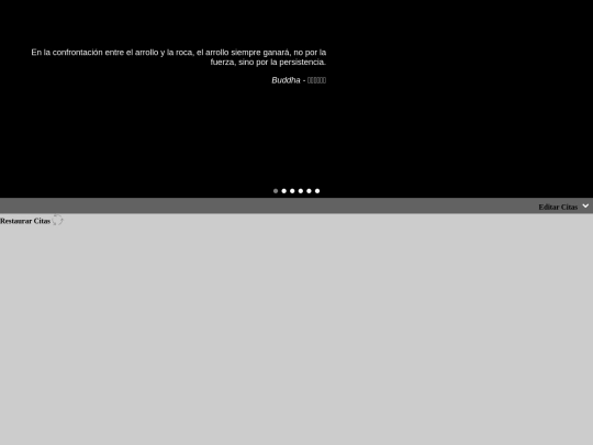 javascript/citasEditor/citasJASON screenshot