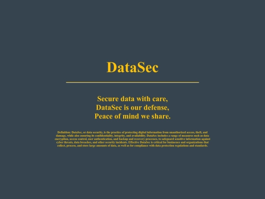 datasec screenshot