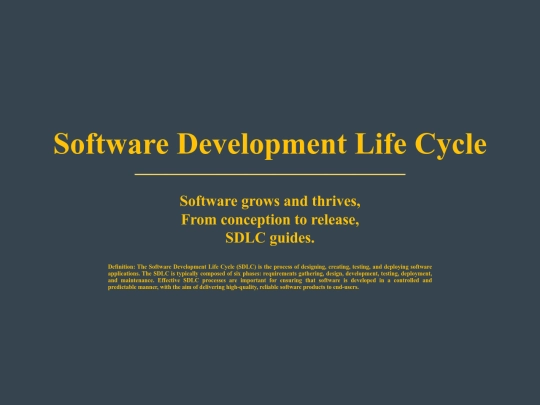 sdlc screenshot