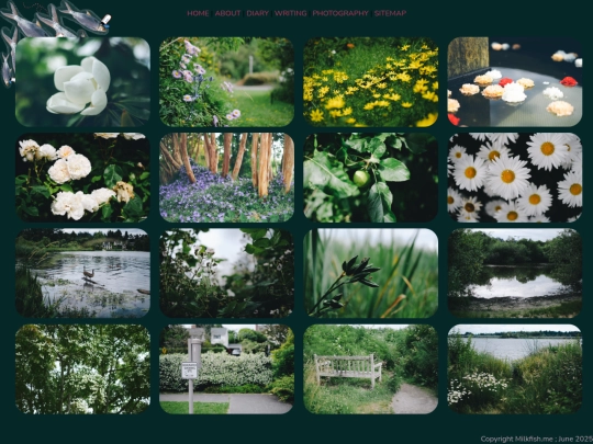 Photography/2025.06.22 screenshot