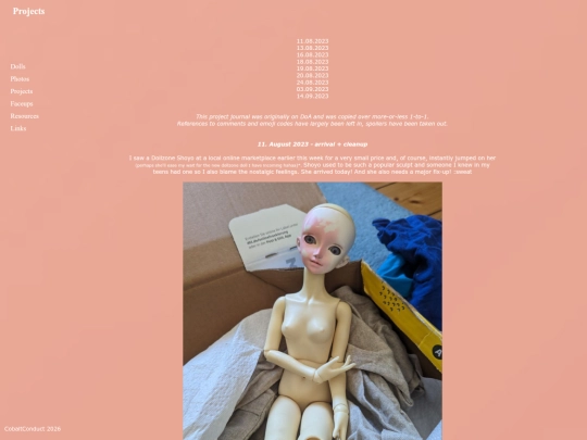 projects/michi screenshot