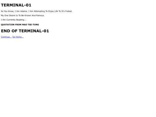 terminal1 screenshot